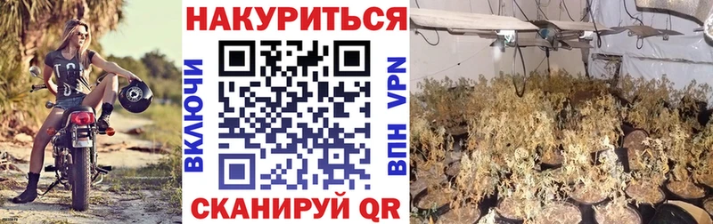 OMG ТОР Калининград МАРИХУАНА план